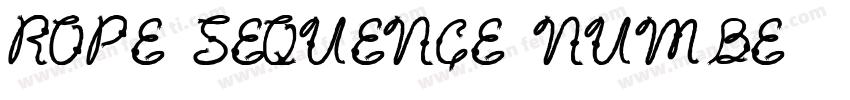 Rope Sequence Numbe字体转换